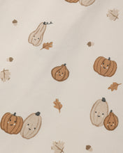 Load image into Gallery viewer, Harvest Friends Bamboo Zip Footie