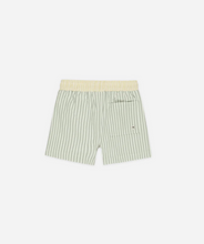 Load image into Gallery viewer, Sage Stripe Boardshorts