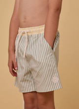 Load image into Gallery viewer, Sage Stripe Boardshorts