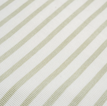 Load image into Gallery viewer, Sage Stripes Tank & Shorts Set