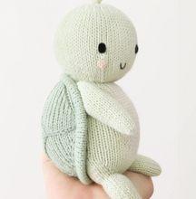 Load image into Gallery viewer, Baby Turtle