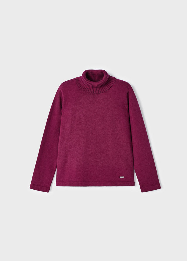 Cranberry Basic Turtleneck