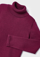 Load image into Gallery viewer, Cranberry Basic Turtleneck
