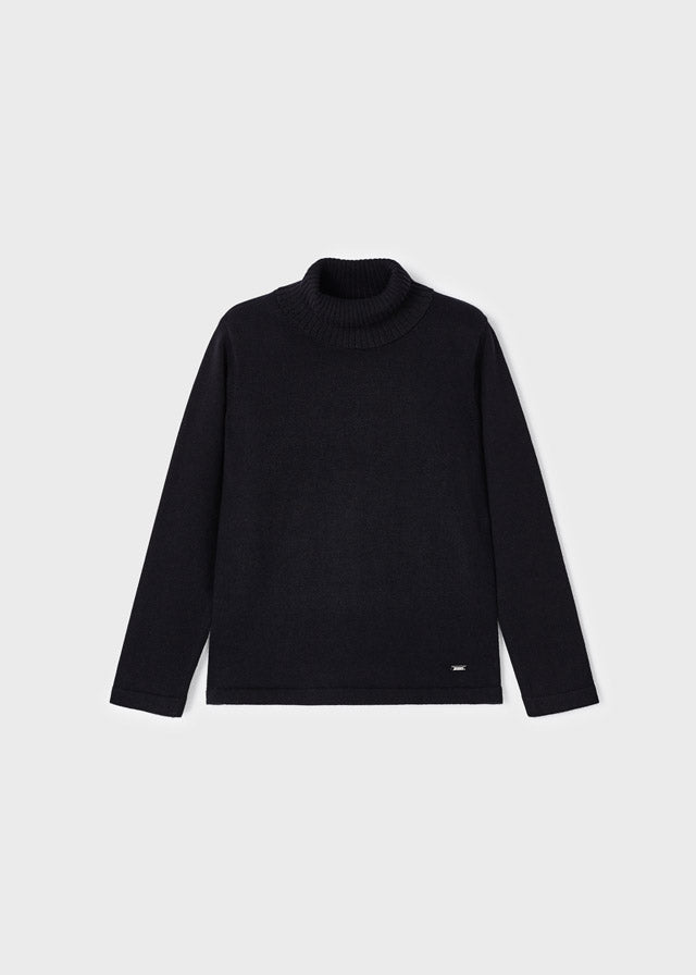 Black Basic Turtleneck