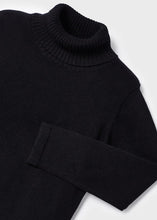 Load image into Gallery viewer, Black Basic Turtleneck
