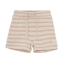Load image into Gallery viewer, Brick Stripe Shorts
