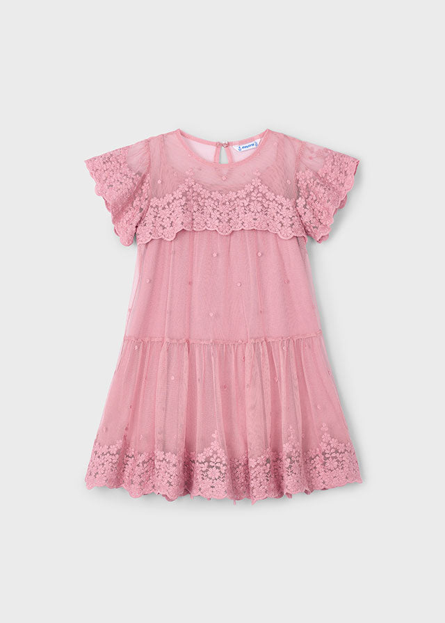 Rose Embroidered Tulle Dress