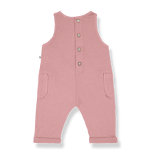 Load image into Gallery viewer, Calvia Strawberry Sleeveless Romper

