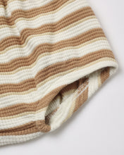 Load image into Gallery viewer, Spice Stripe Darla Dress
