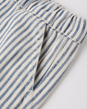 Load image into Gallery viewer, Railroad Stripe Dawson Shorts
