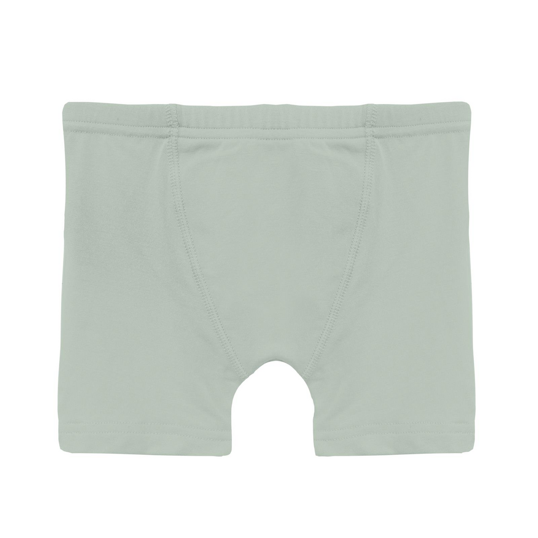 Aloe Boxer Brief