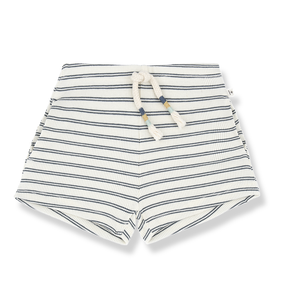 STANLEY Petroleum Stripe Bermuda Short