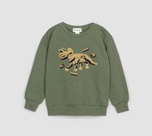 Load image into Gallery viewer, Tri Fossil Embroidered Sweatshirt
