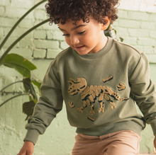Load image into Gallery viewer, Tri Fossil Embroidered Sweatshirt
