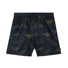 Load image into Gallery viewer, Ombré Dino Swim Trunks

