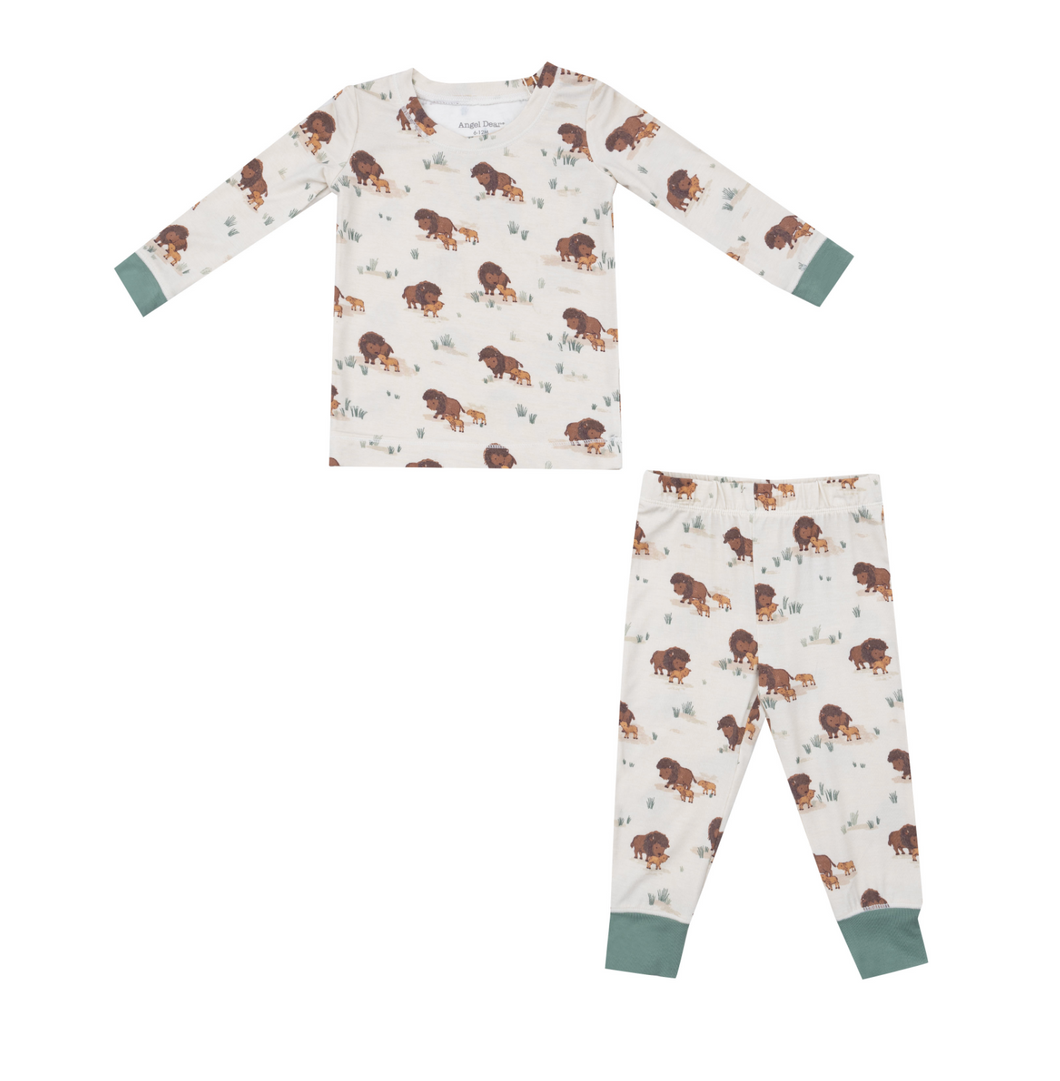 Bison Families PJ Set