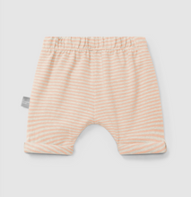 Load image into Gallery viewer, Peach Stripe Soft Shorts
