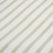 Load image into Gallery viewer, Sage Stripes Two-Way Zip Coverall
