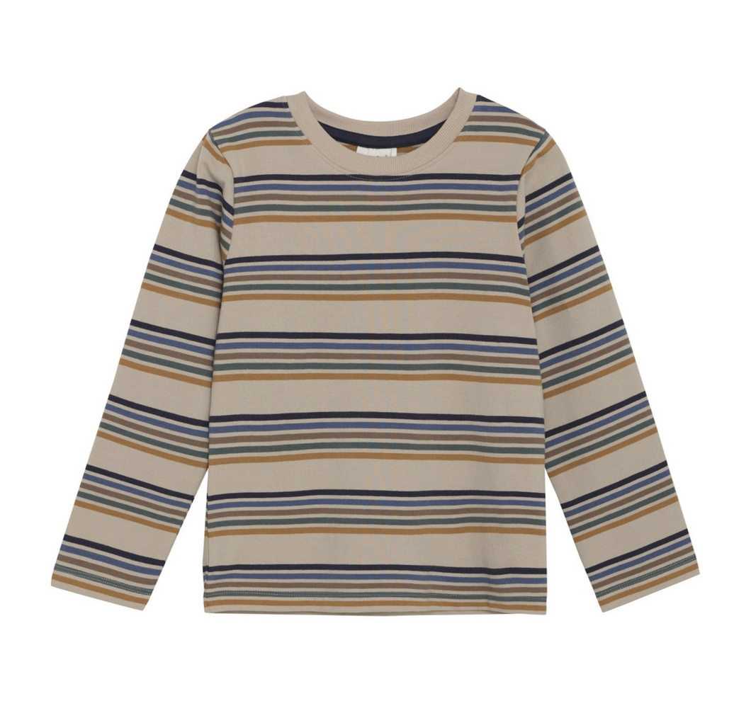 Fall Stripes Long Sleeve Top