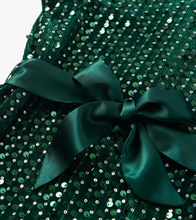 Load image into Gallery viewer, Green Sequins Velvet Dress
