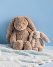 Load image into Gallery viewer, Mama &amp; Baby Bunny Plush Set
