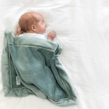 Load image into Gallery viewer, Lush Mini Blanket

