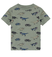 Load image into Gallery viewer, Dino 2pc Set
