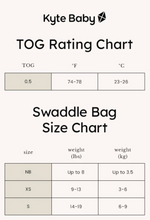 Load image into Gallery viewer, Swaddle Bag
