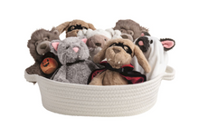 Load image into Gallery viewer, Trick-Or-Treat Plush Pals
