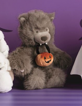 Load image into Gallery viewer, Trick-Or-Treat Plush Pals
