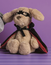 Load image into Gallery viewer, Trick-Or-Treat Plush Pals
