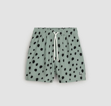 Load image into Gallery viewer, Dalmatian Dusty Green Swim Trunks

