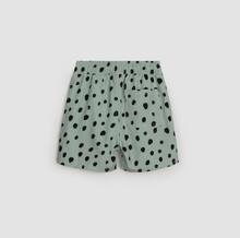 Load image into Gallery viewer, Dalmatian Dusty Green Swim Trunks
