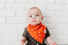 Load image into Gallery viewer, Ace Bandana Bib Set (4 pack)
